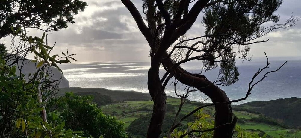 Flores Wild West Coast Hike: Lajedo – Fajã Grande Adventure 1