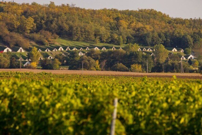 Tokaj Wine Tasting with Tokaji Aszú and Tapas in a UNESCO Cellar 2