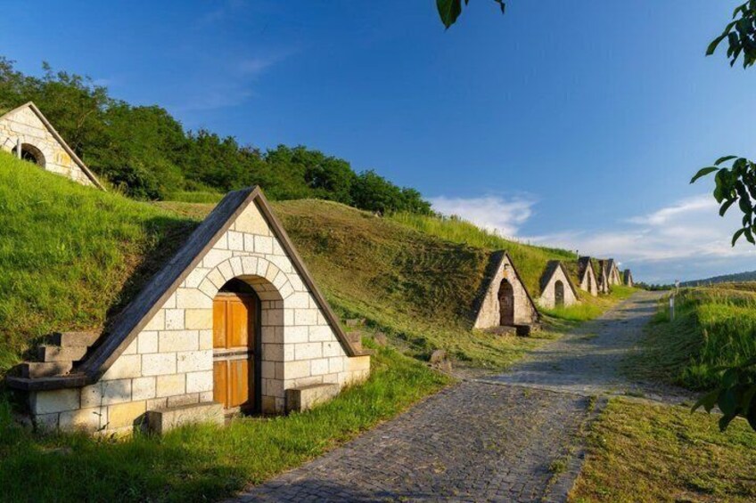Tokaj Wine Tasting with Tokaji Aszú and Tapas in a UNESCO Cellar 1