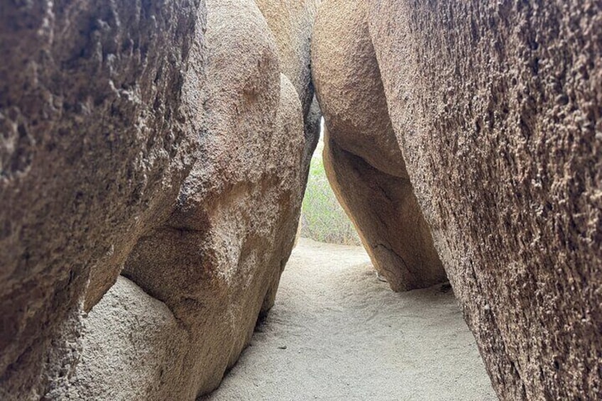 Private 1 Day Tour to Joshua Tree National Park 2