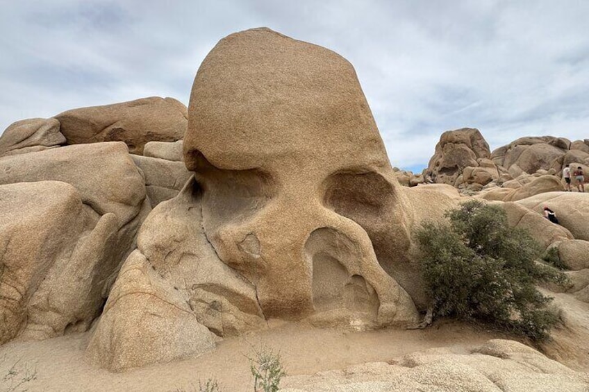 Skull Rock 4