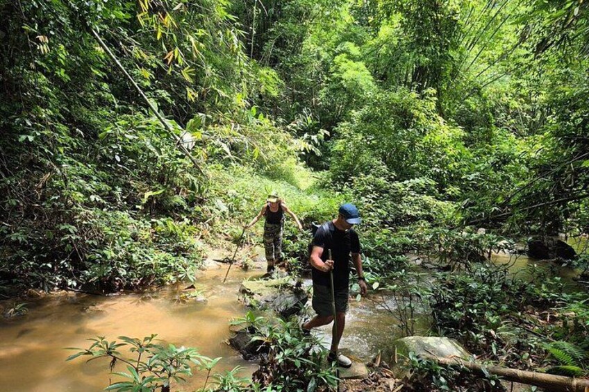Two people hiking through a dense forest with a stream. 5