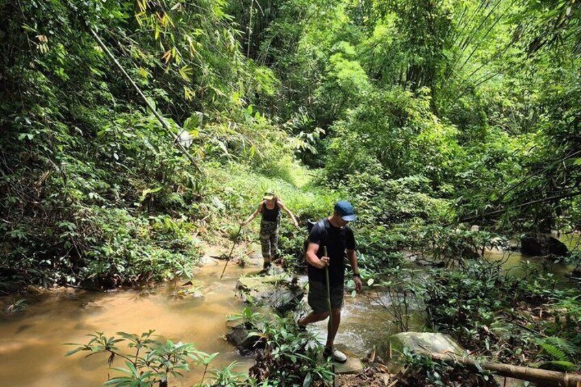 Jungle Trekking with Waterfall and Bamboo Cooking in Chiang Rai 5