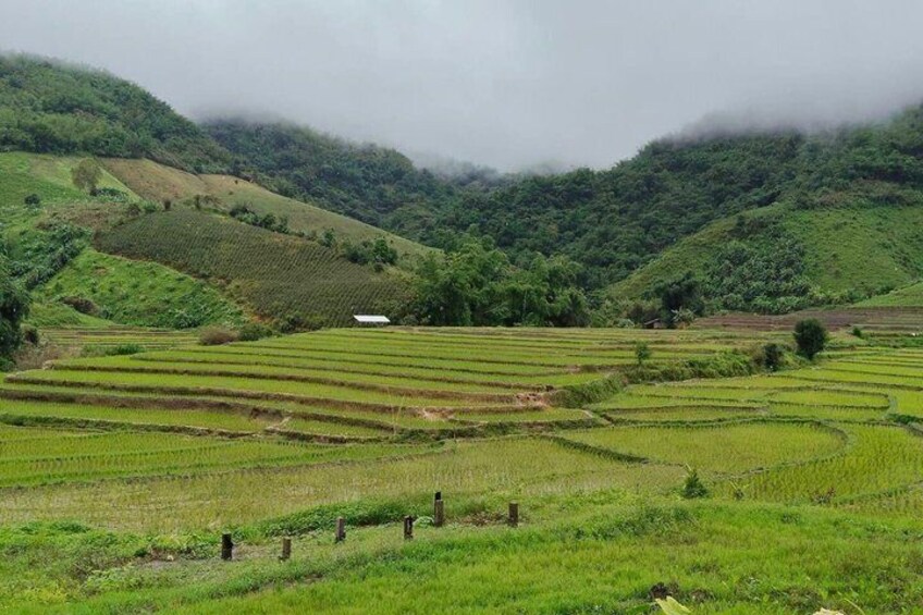 Jungle Trekking with Waterfall and Bamboo Cooking in Chiang Rai 2