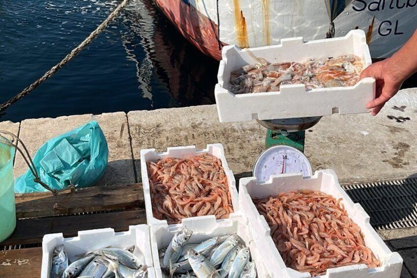 Private Salento Tour: Galatina, Otranto, Leuca e Gallipoli 2