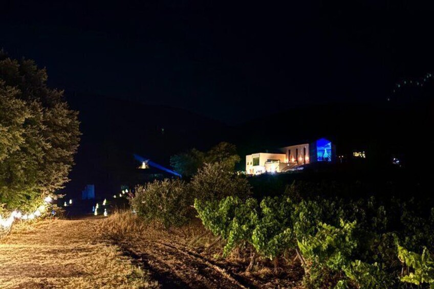 Rousset les Vignes night walk in the vineyards 4
