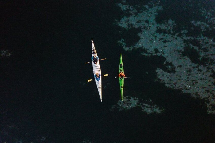 Full Day Kayak Tour in San Juan Island 3