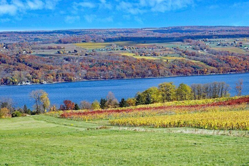A river, a field of flowers, and a distant town. 3
