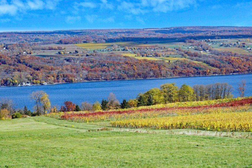 A lake surrounded by autumn-colored trees and a grassy field. 4