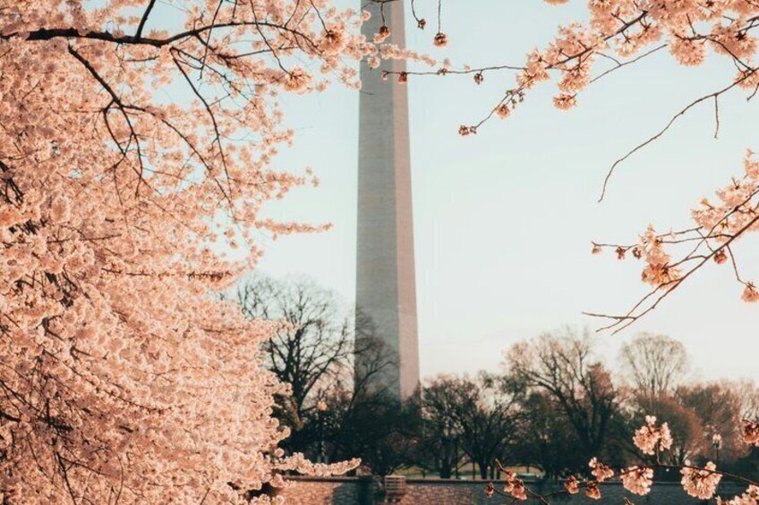 Washington Monument Walking Guided Tour 4