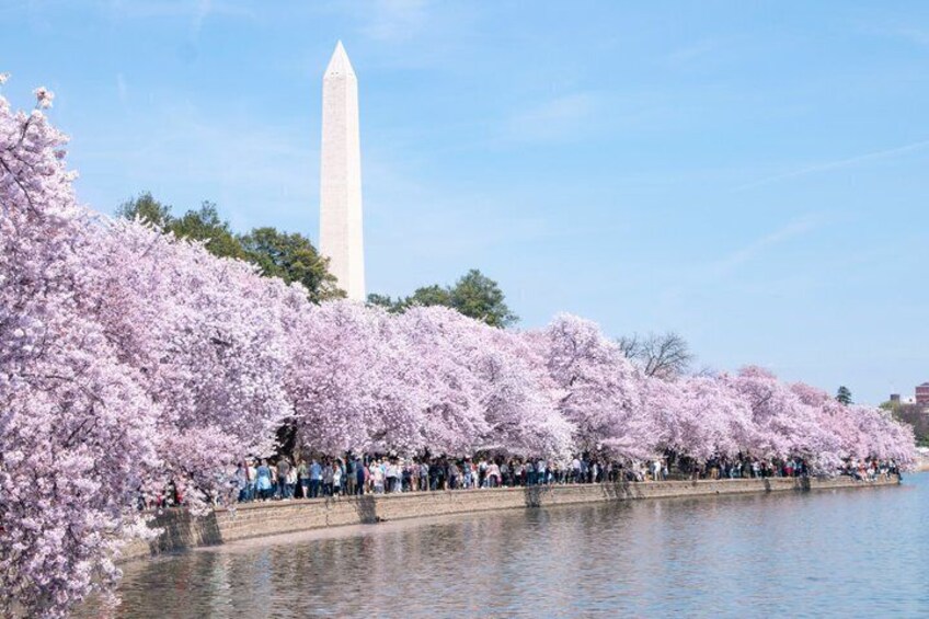 Washington Monument Walking Guided Tour 1