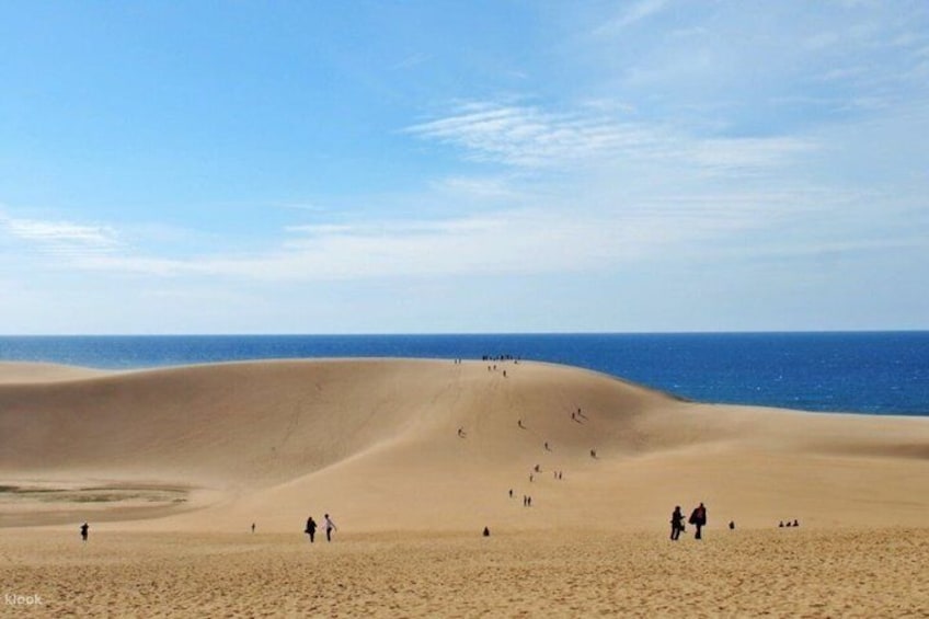 Tottori Sand Dunes Private Day Tour from Osaka or Kyoto 2