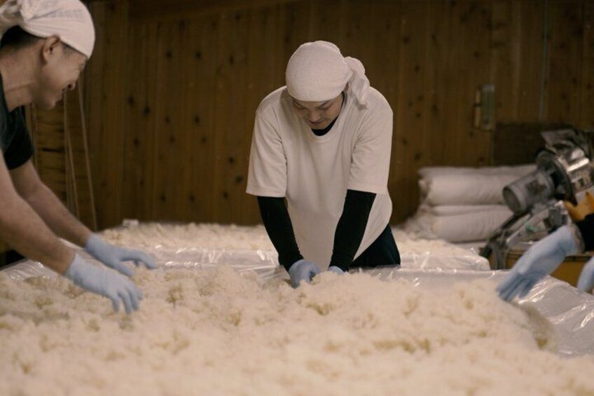 Oshu Iwate Meijo Sake Brewery Tour with Tasting 5