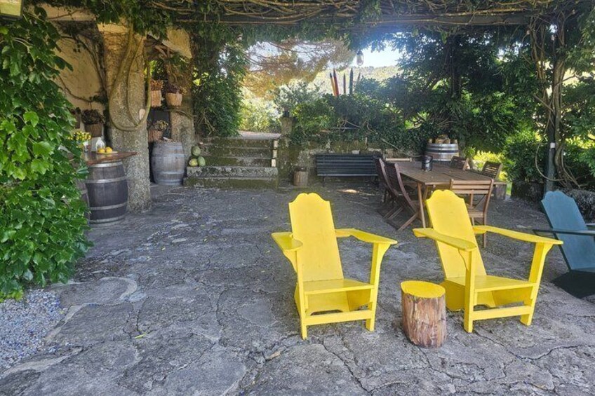 A stone patio with yellow Adirondack chairs, a wooden table, and a rustic setting with barrels and greenery. 4