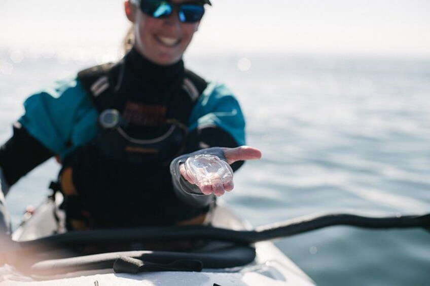 A person in a kayak on the water, holding a clear plastic bottle. 2