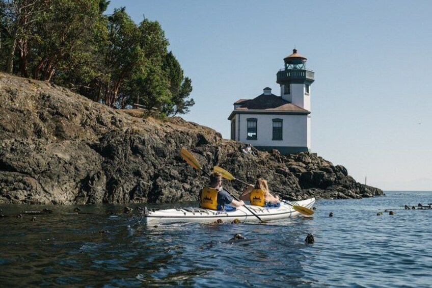 Half Day Kayak Tour on San Juan Island 1