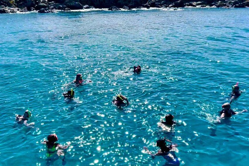 Guided Snorkel Tour 2