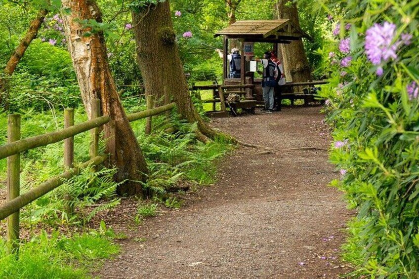 A forest path with a wooden structure, likely a ranger station, and a wooden fence. 2