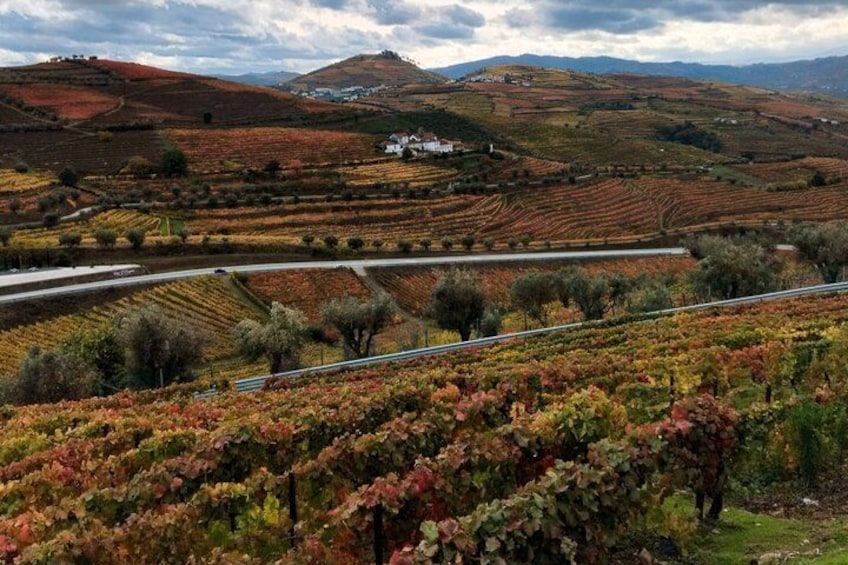 Douro Valley Private Tour Seven Base 2