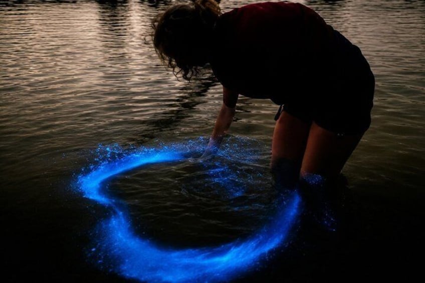 Bioluminescence Tour in Puerto Escondido 1