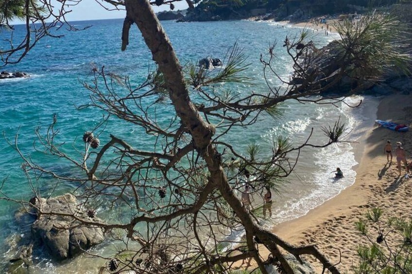 Traditional Boat Tour : Adventure on the Costa Brava 3