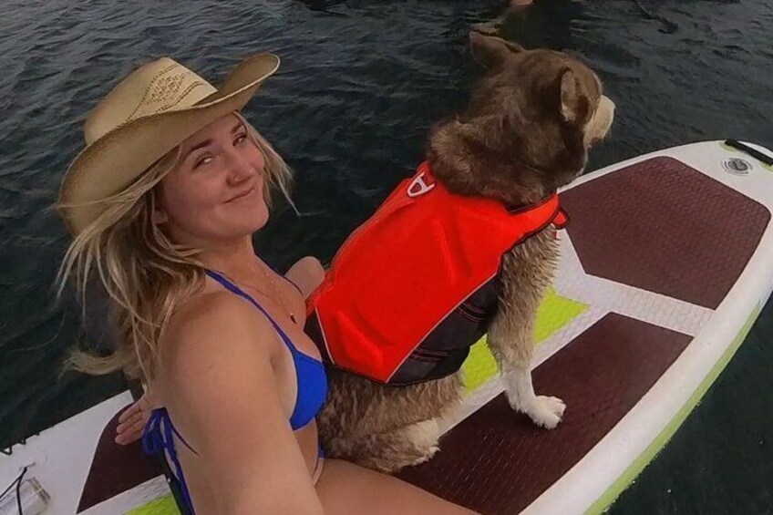 Paddleboard in a Desert Oasis with Huskies 1
