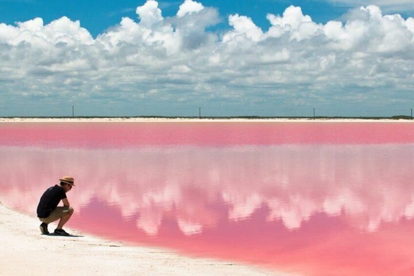 The colorful pink lagoon and flamingos tour in Rio Lagartos 5
