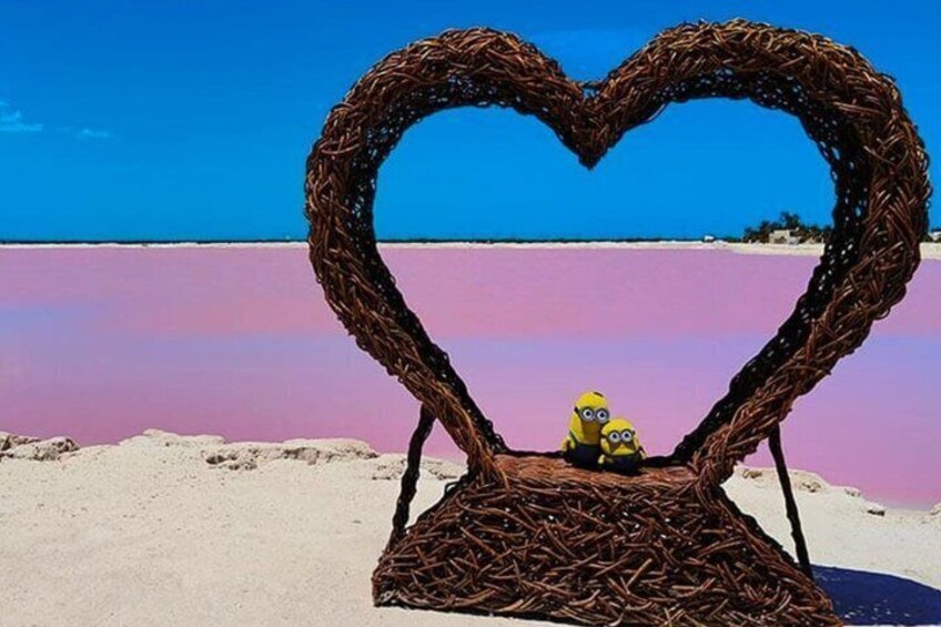 The colorful pink lagoon and flamingos tour in Rio Lagartos 4