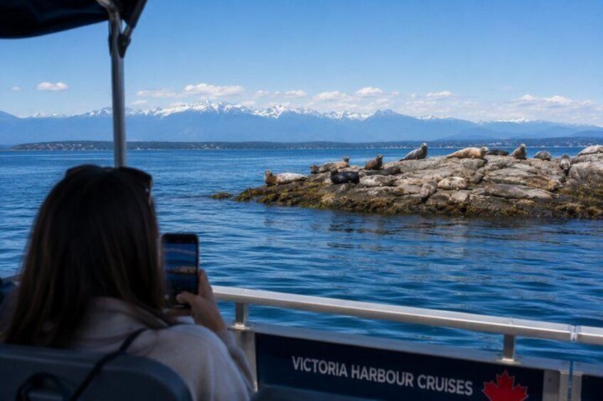 Victoria Harbour Sightseeing Boat Cruise with Live Tour Guide 5