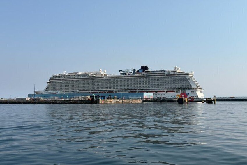 Victoria 75 minute Sightseeing Boat Tour with Tour Guide 4