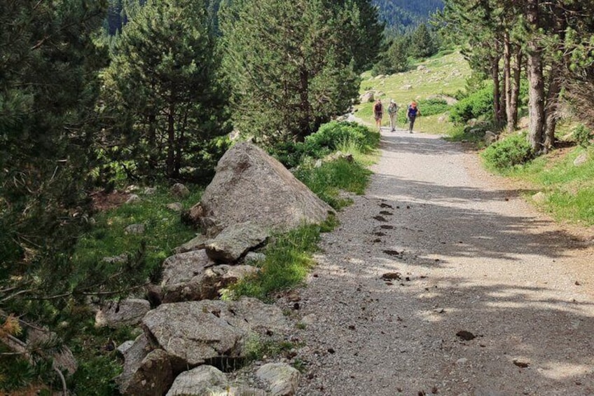 Easy route through Aigüestortes Cascades and Estany de Llebreta 4