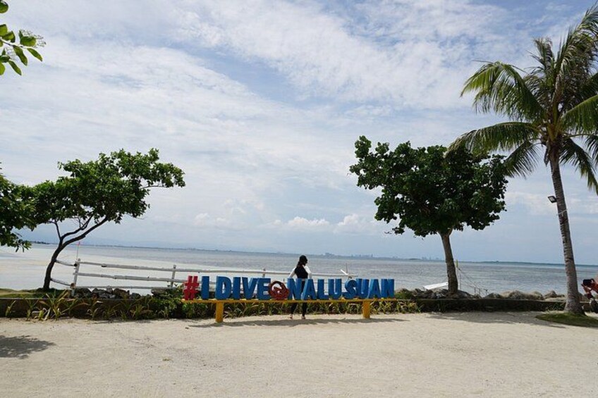 A beach with a sign reading '#DIVESONVALUAN' and palm trees. 2