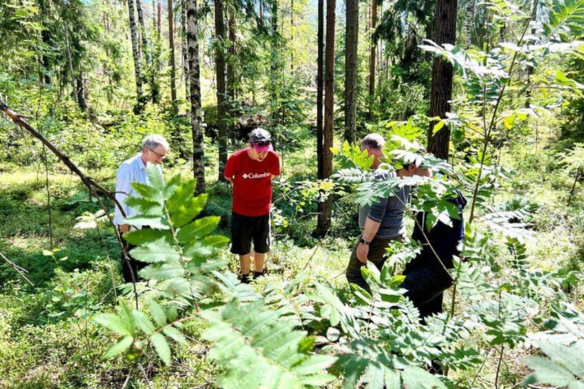 National Park Hike & Finnish Smoke Sauna Experience with Campfire Lunch 2