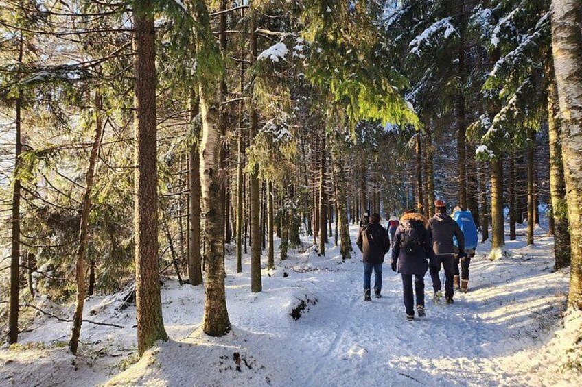 National Park Hike & Finnish Smoke Sauna Experience with Campfire Lunch 4