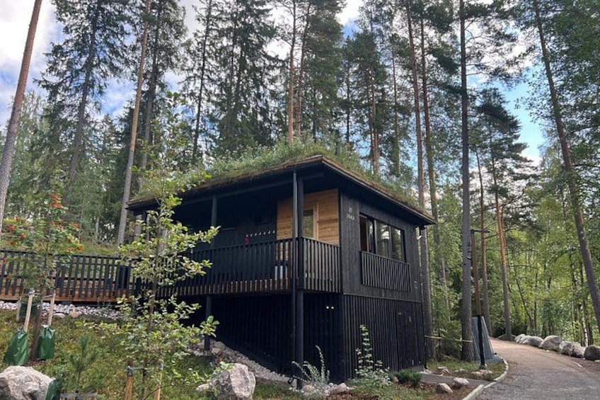 National Park Hike & Finnish Smoke Sauna Experience with Campfire Lunch 2