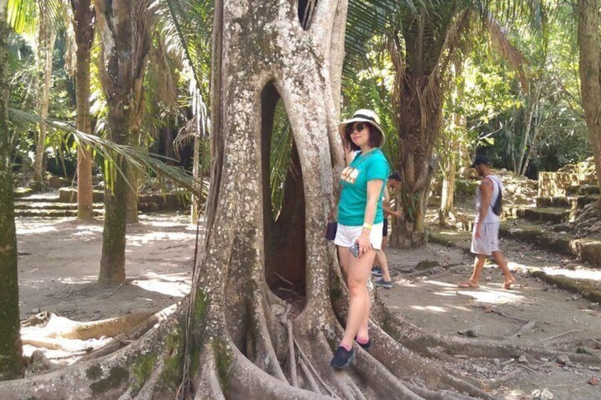 Costa Maya Tour Chacchoben Mayan Ruins 5