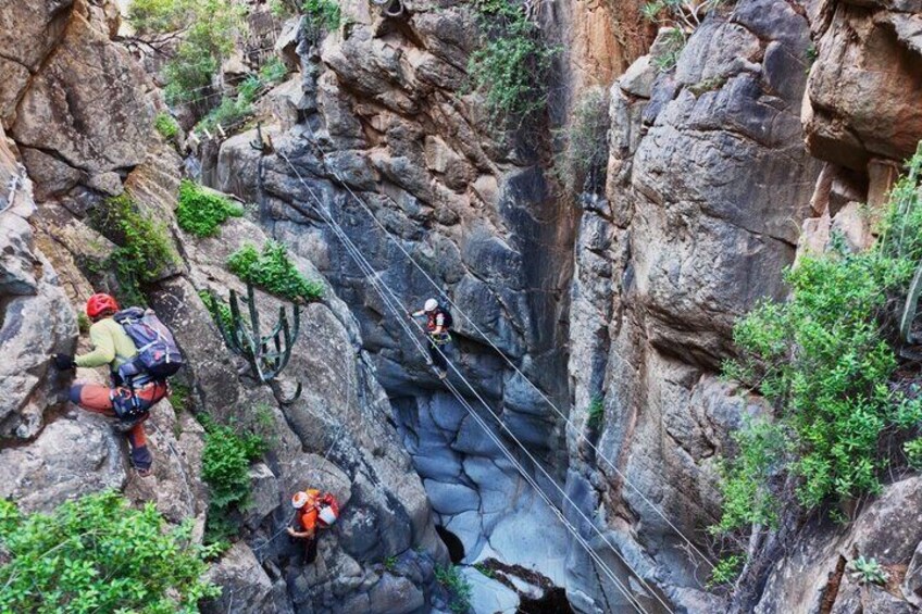 Vertical Adventure Park for beginners Via Ferrata in Tenerife 5