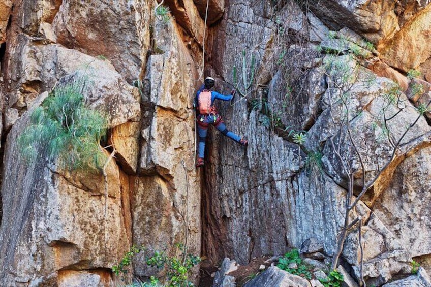 A person rock climbing on a large rock face with vegetation growing on it. 5