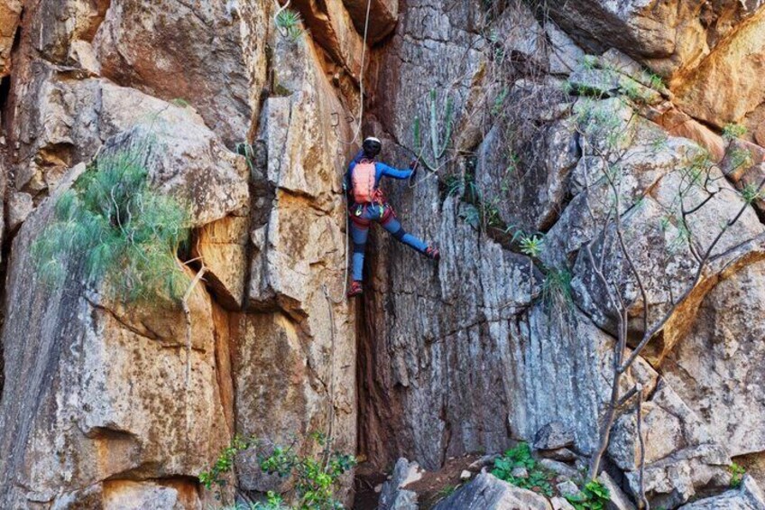 Vertical Adventure Park for beginners Via Ferrata in Tenerife 3