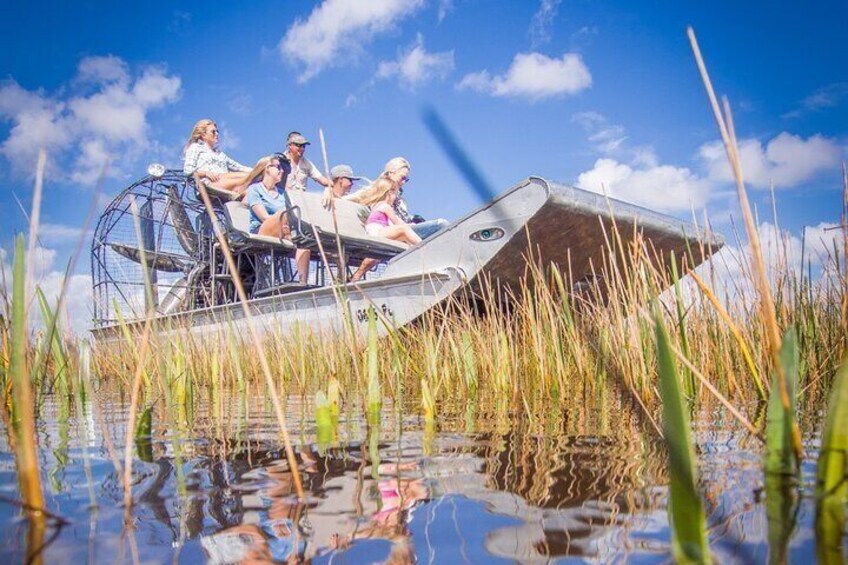 Airboat Tour in The Everglades National Park 1
