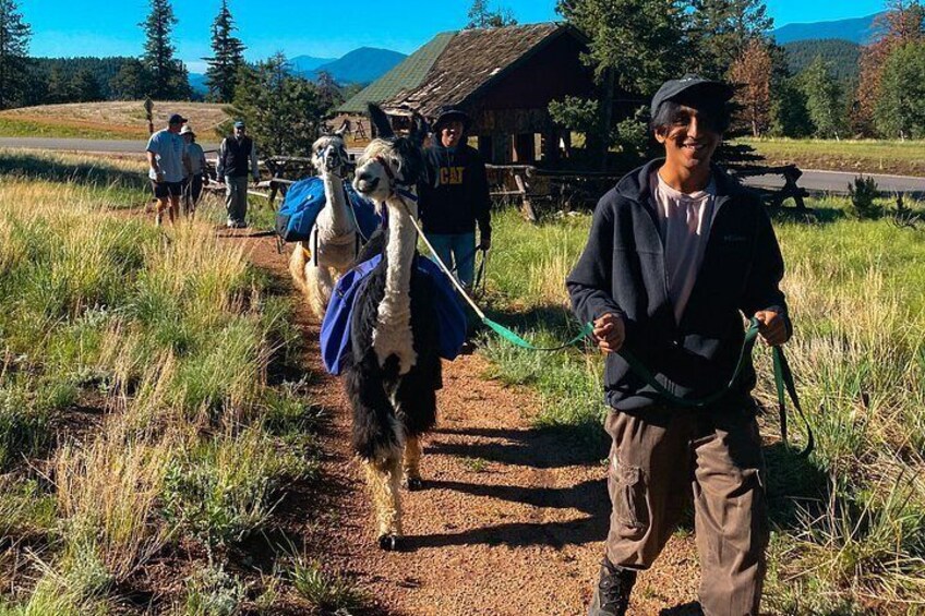 A person leading a horse with a blue blanket on a dirt path, surrounded by grass and trees. 5