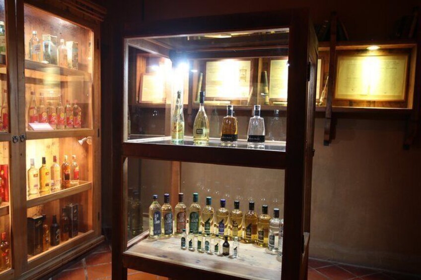 Private Tour Flavors Wines and Mysteries of the Elqui Valley 5