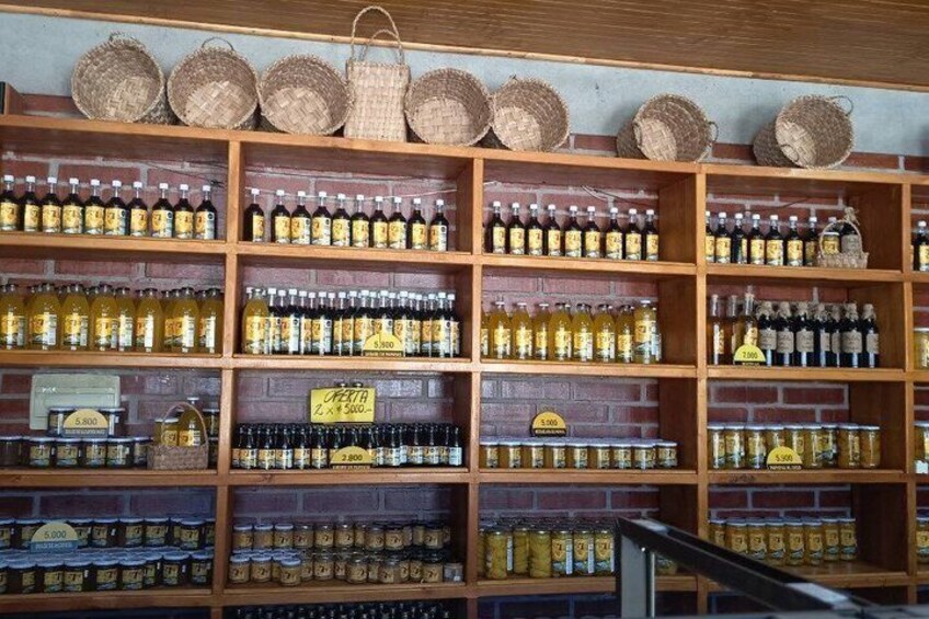 Private Tour Flavors Wines and Mysteries of the Elqui Valley 3