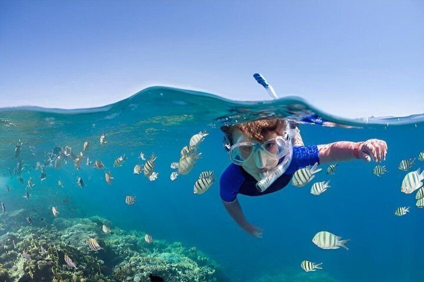 A person snorkeling with fish in clear blue water. 4