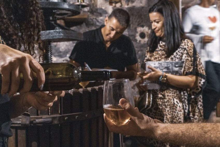 Konoba Bratanić A Journey Through Wine Heritage 5