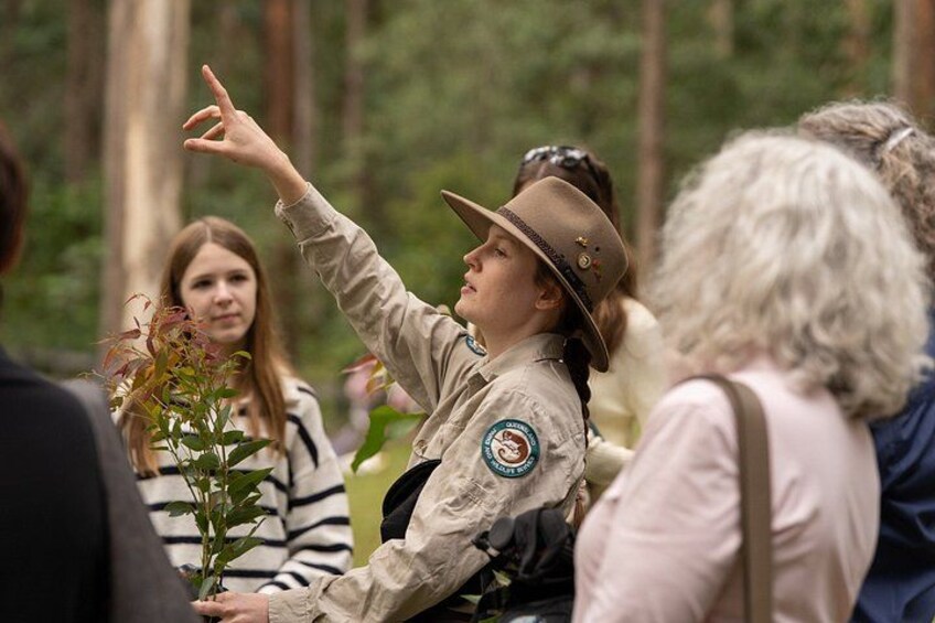 A person in a ranger uniform pointing upwards, surrounded by people in a forested area. 4