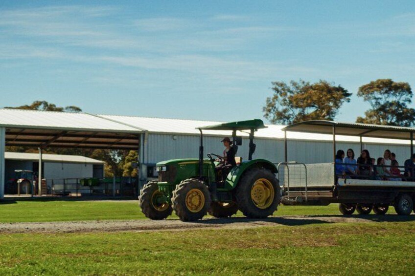 Farm Tractor Tour Dairy Cows and Calf Nursery 1
