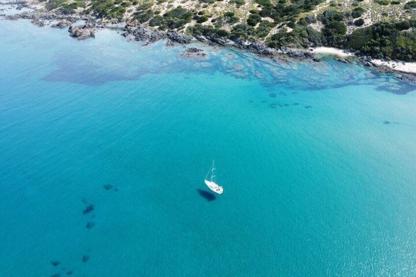 Sailing tour in the morning 5