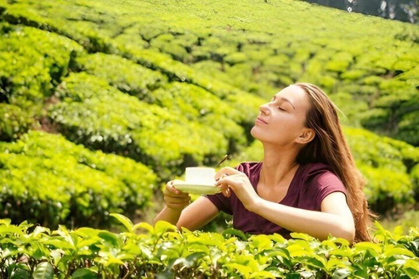 Tea Factory Tour from Nuwara Eliya 4