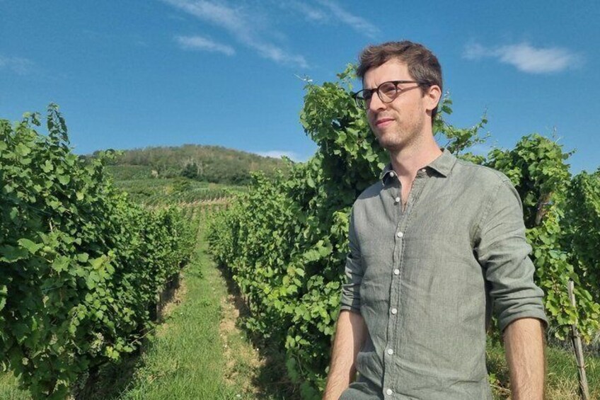 Local Craftsman Guide Vineyard Tour and 6 Orschwihr Wines 1